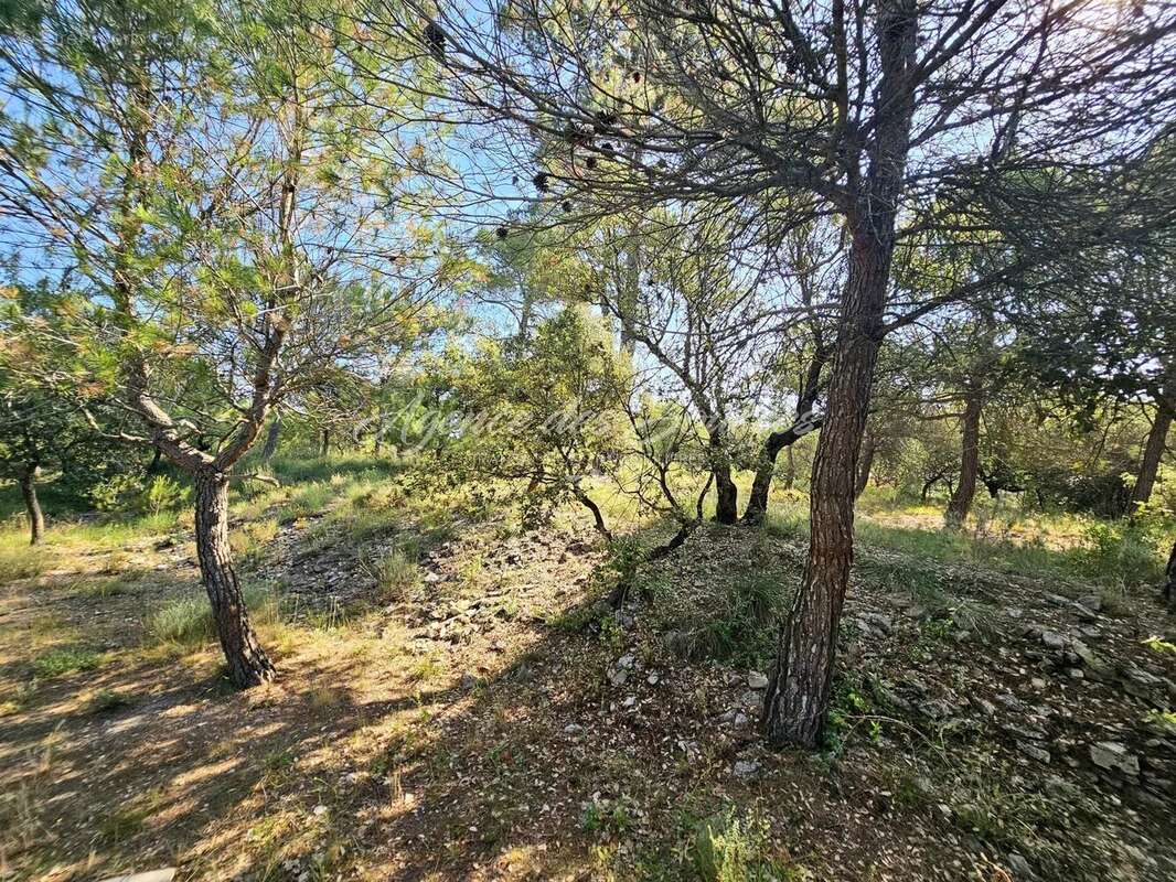 Maison à BRUE-AURIAC