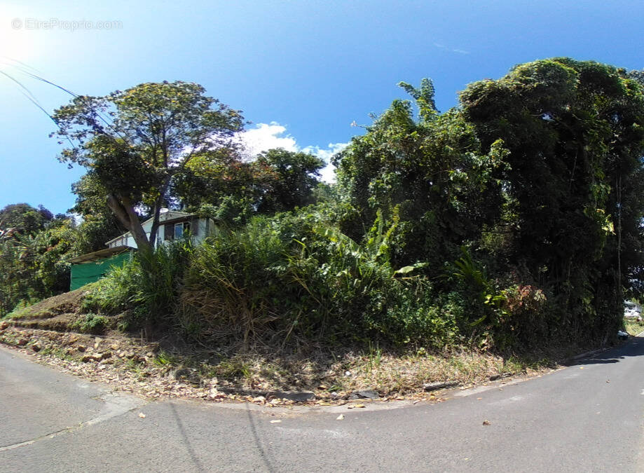 Terrain à SAINT-CLAUDE