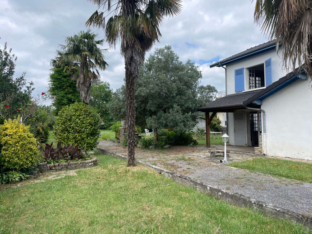 IMG_0865 - Maison à OLORON-SAINTE-MARIE