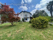 IMG_0870 - Maison à OLORON-SAINTE-MARIE