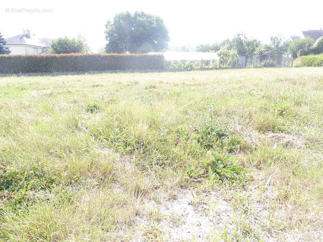 Terrain à DENEE