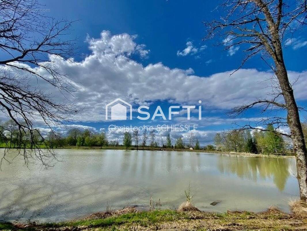 Photo 1 - Terrain à SUARCE