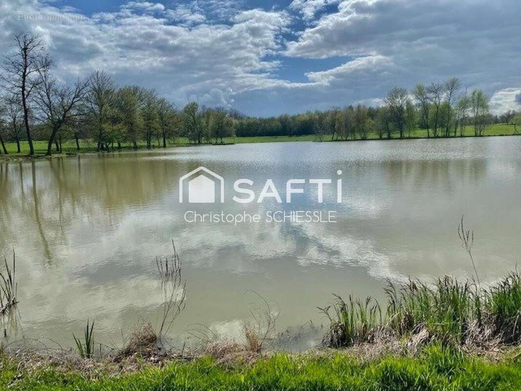 Photo 5 - Terrain à SUARCE