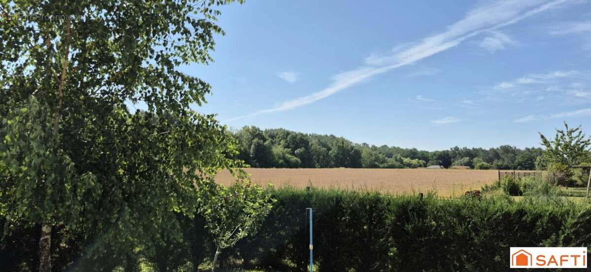 Photo 2 - Maison à MONTIGNY-SUR-VESLE