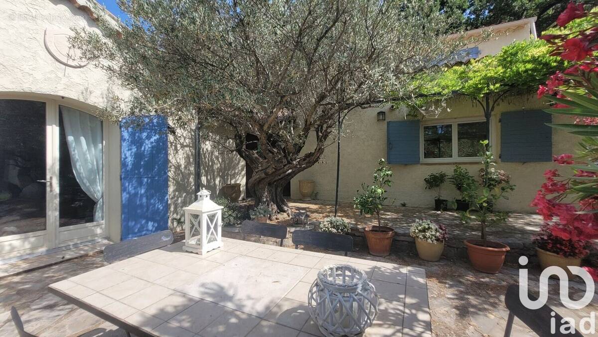 Photo 1 - Maison à MOISSAC-BELLEVUE