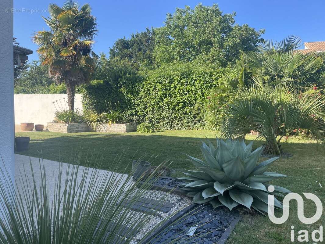 Photo 6 - Maison à SAINT-SULPICE-DE-ROYAN