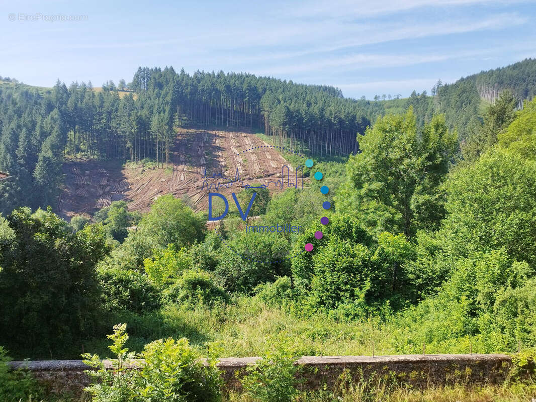 Maison à SAINT-NIZIER-D&#039;AZERGUES