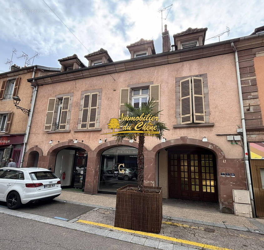 Commerce à LUXEUIL-LES-BAINS