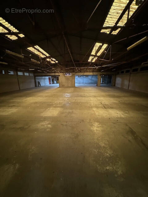 Commerce à SAINT-PAUL-LES-DAX