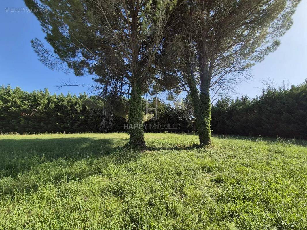 Terrain à SAINT-REMY-DE-PROVENCE