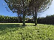 Terrain à SAINT-REMY-DE-PROVENCE