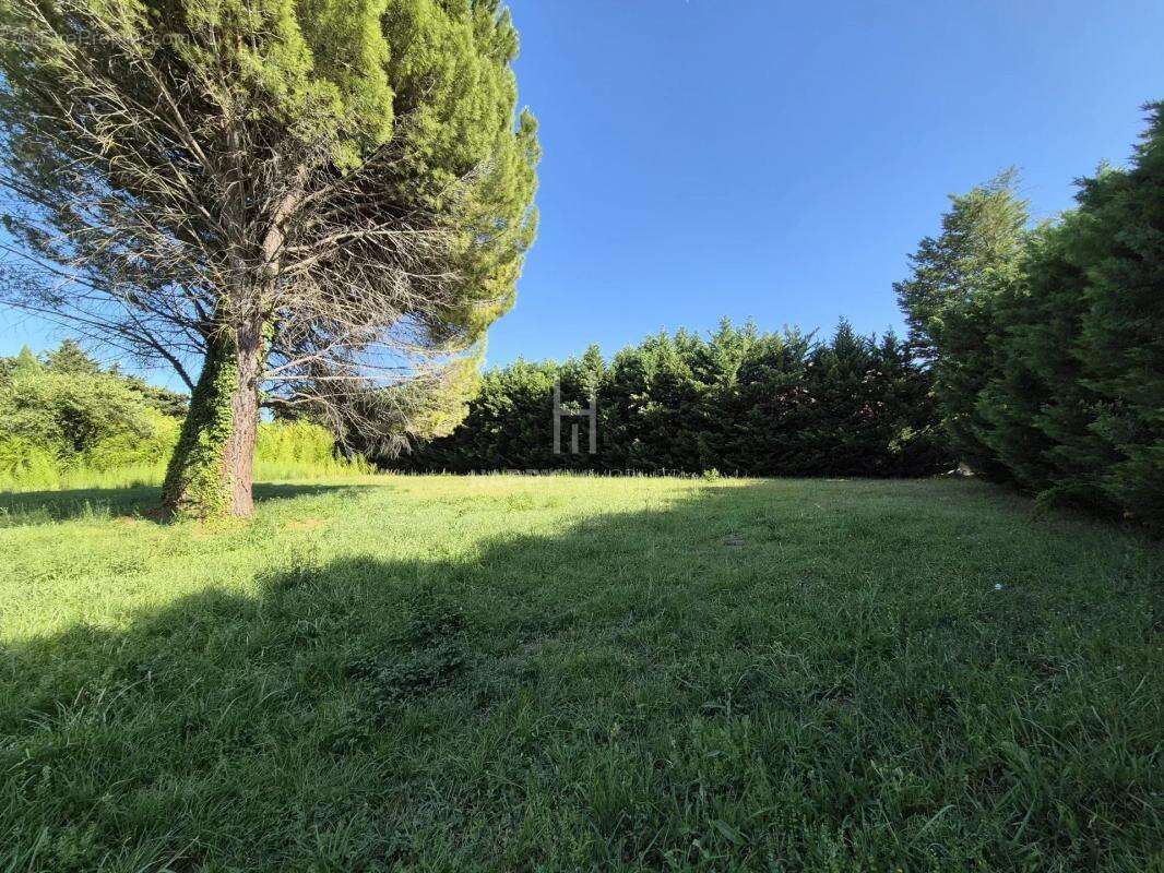 Terrain à SAINT-REMY-DE-PROVENCE