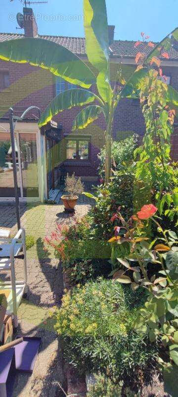 Maison à VIEUX-CONDE