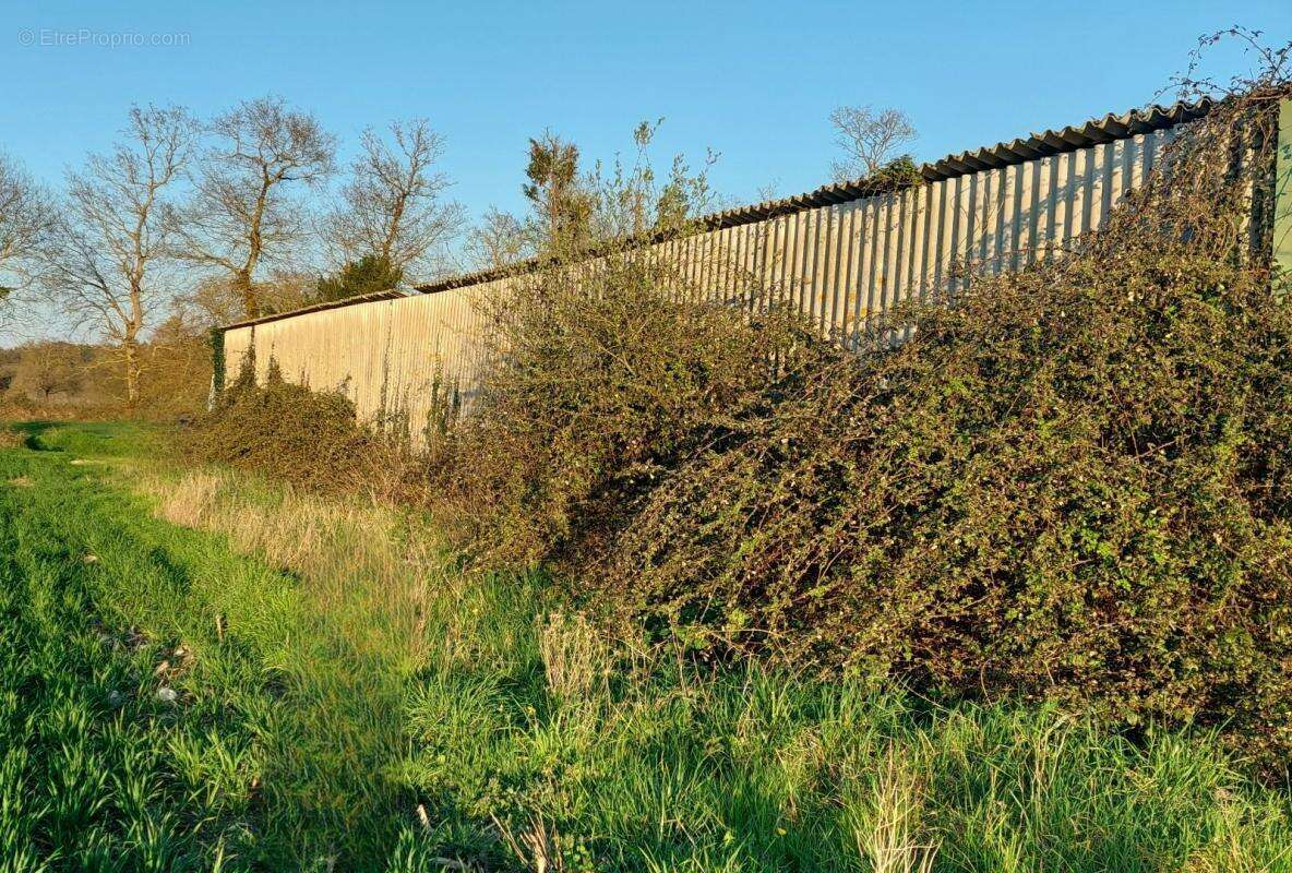 Terrain à JOSSELIN