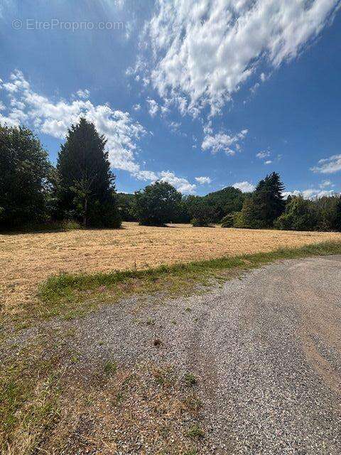 Commerce à ROLAMPONT