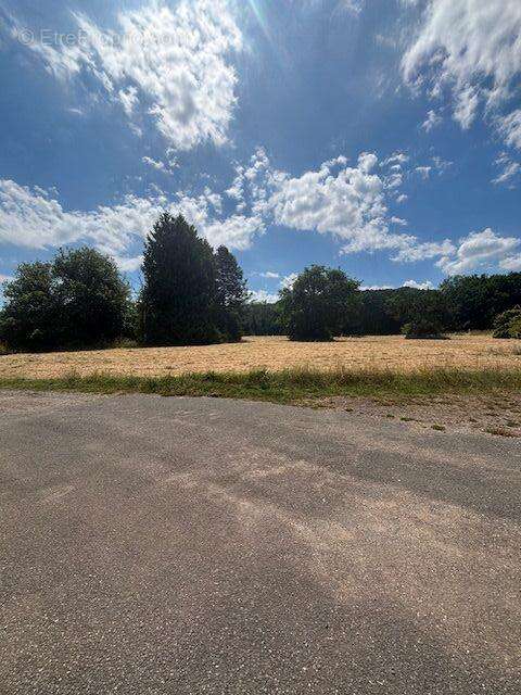 Commerce à ROLAMPONT