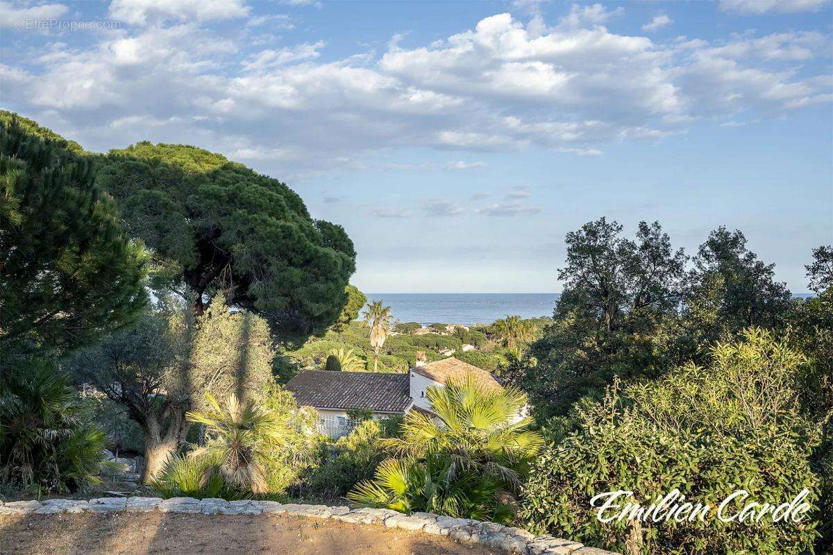 Terrain à SAINTE-MAXIME
