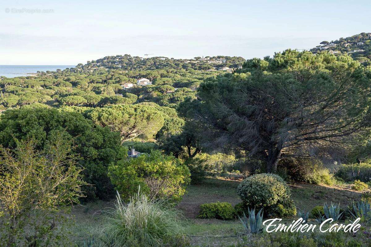 Terrain à SAINTE-MAXIME