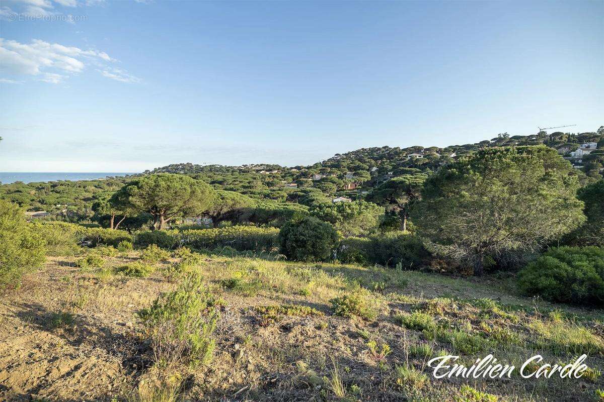 Terrain à SAINTE-MAXIME