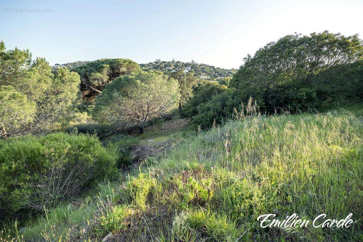 Terrain à SAINTE-MAXIME