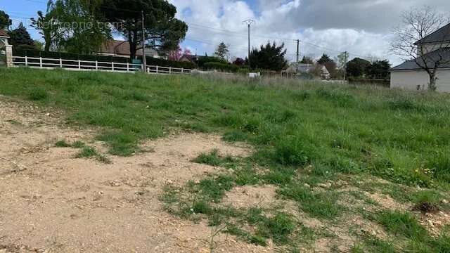 Terrain à CIVRAY-DE-TOURAINE