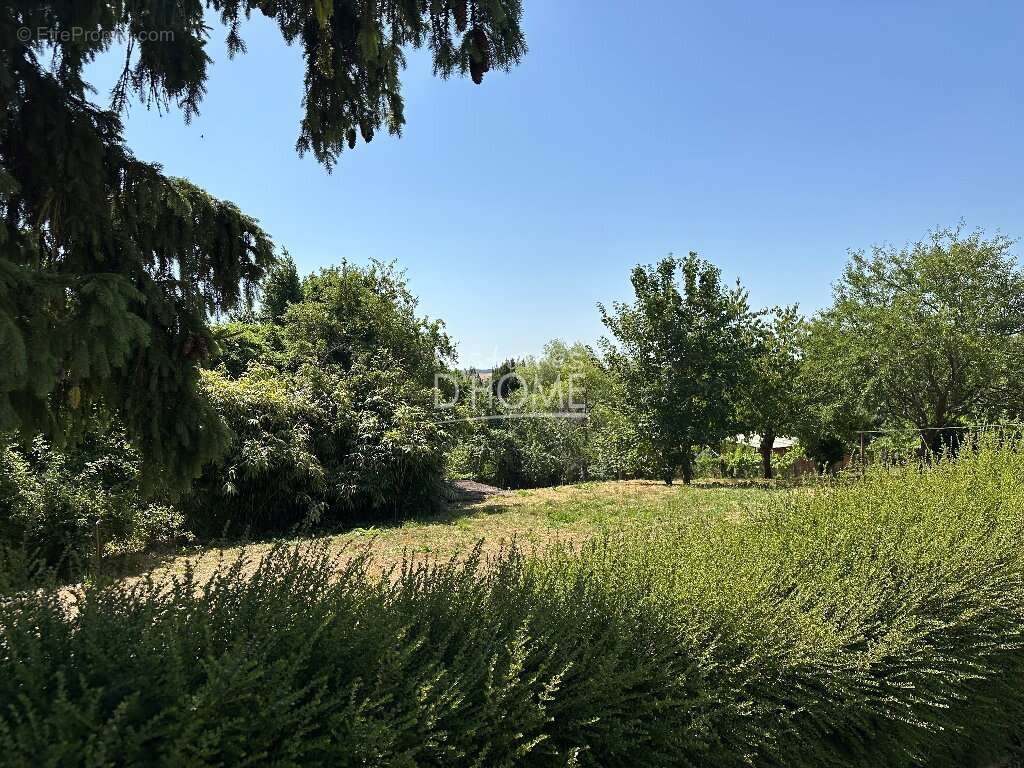 Maison à LA FERTE-GAUCHER