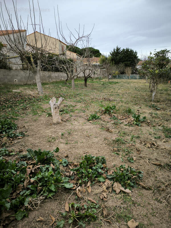 Maison à SAINT-LAURENT-DE-LA-SALANQUE