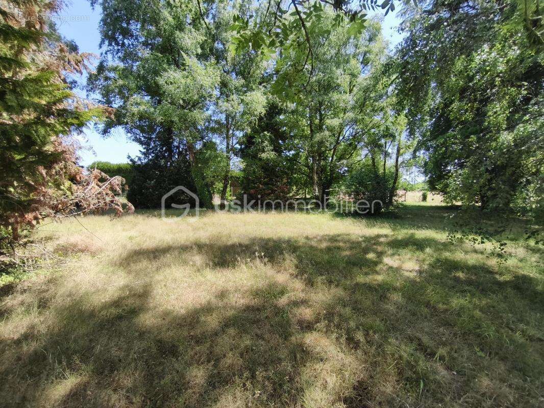 Terrain à SAINT-GONDON