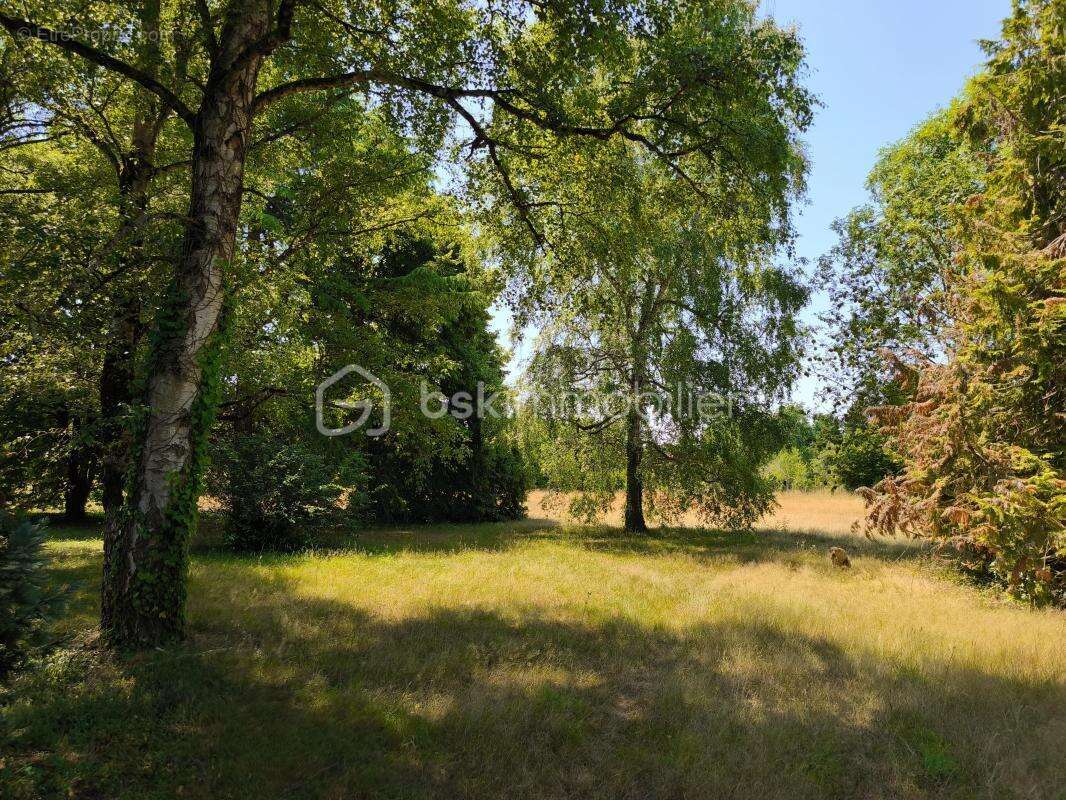 Terrain à SAINT-GONDON