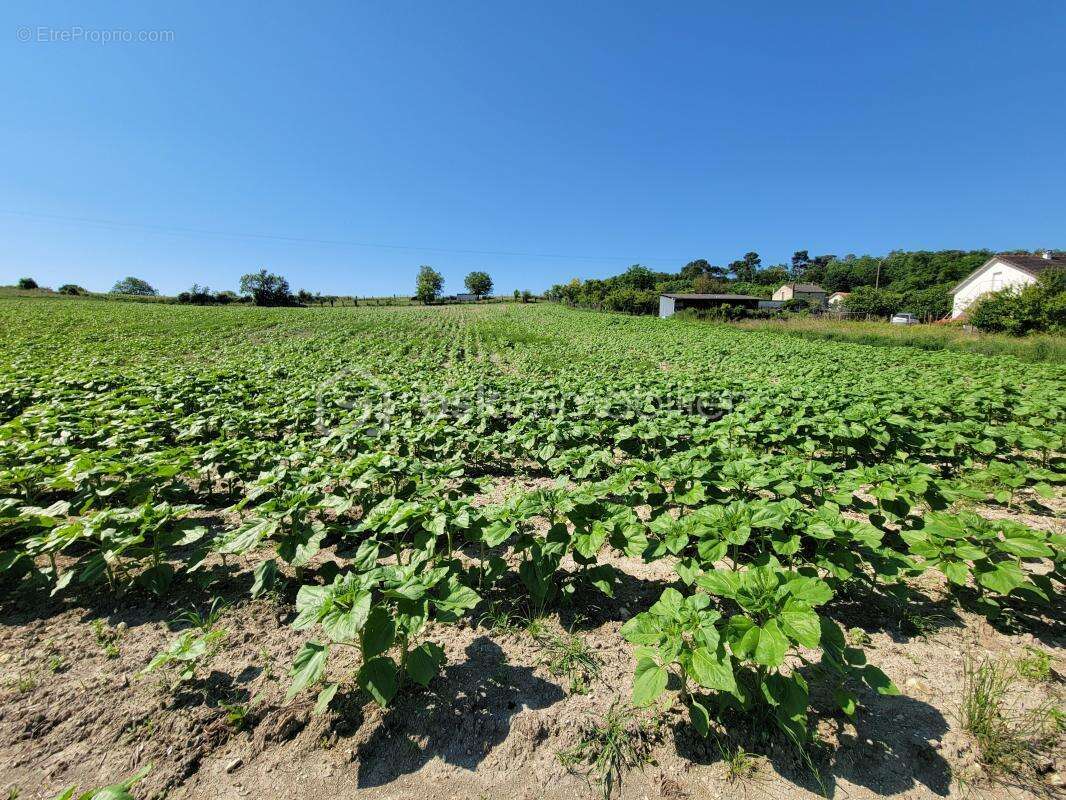 Terrain à MARIGNY-BRIZAY