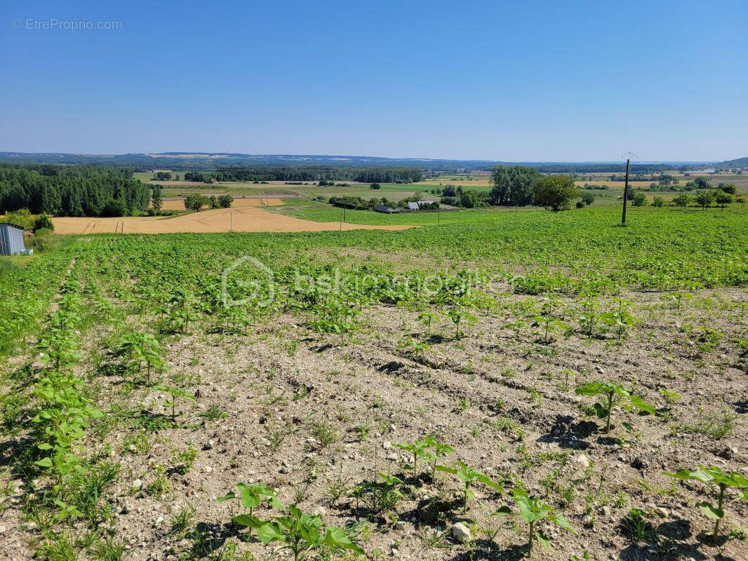 Terrain à MARIGNY-BRIZAY
