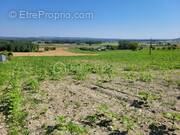 Terrain à MARIGNY-BRIZAY