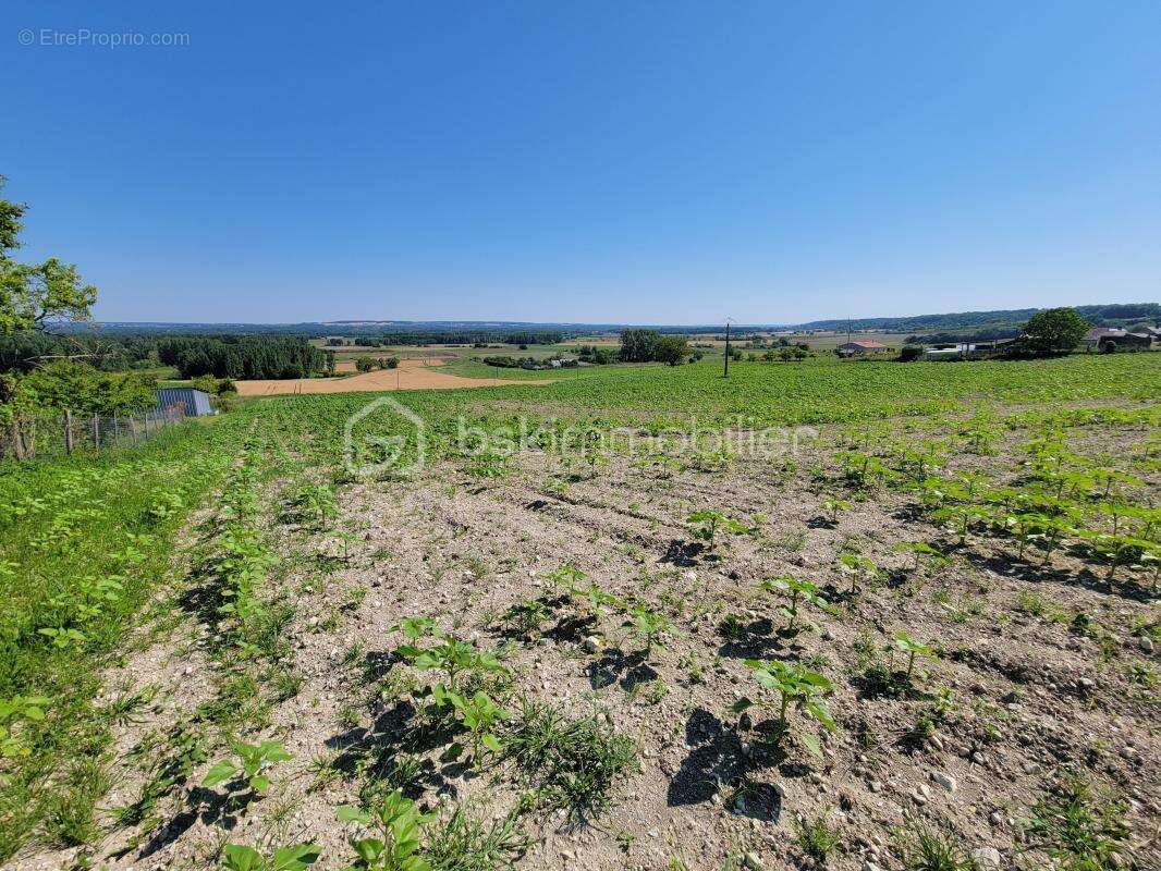 Terrain à MARIGNY-BRIZAY