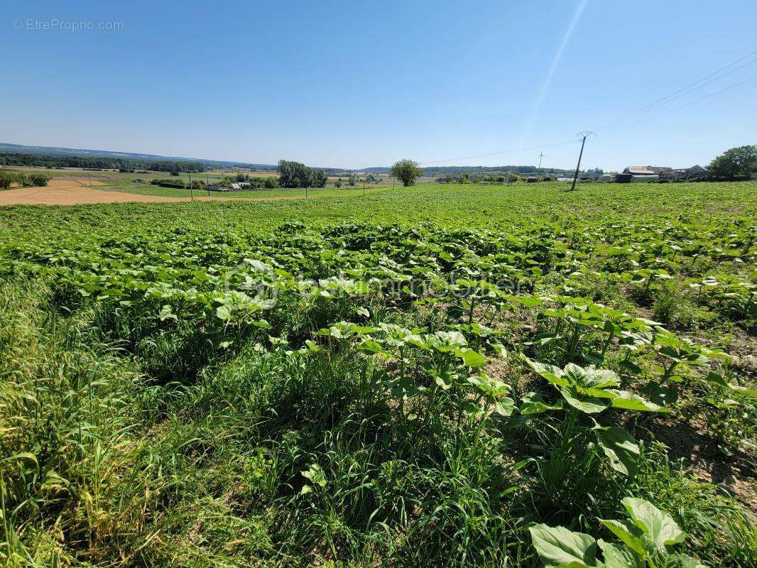 Terrain à MARIGNY-BRIZAY