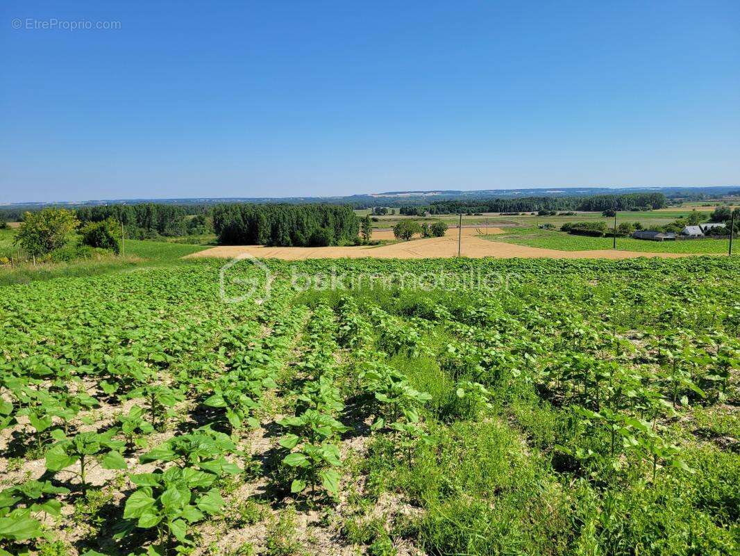 Terrain à MARIGNY-BRIZAY