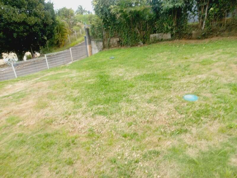 Maison à SAINTE-ROSE