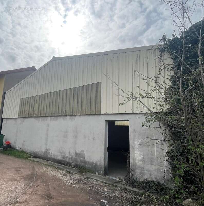 Appartement à ROANNE