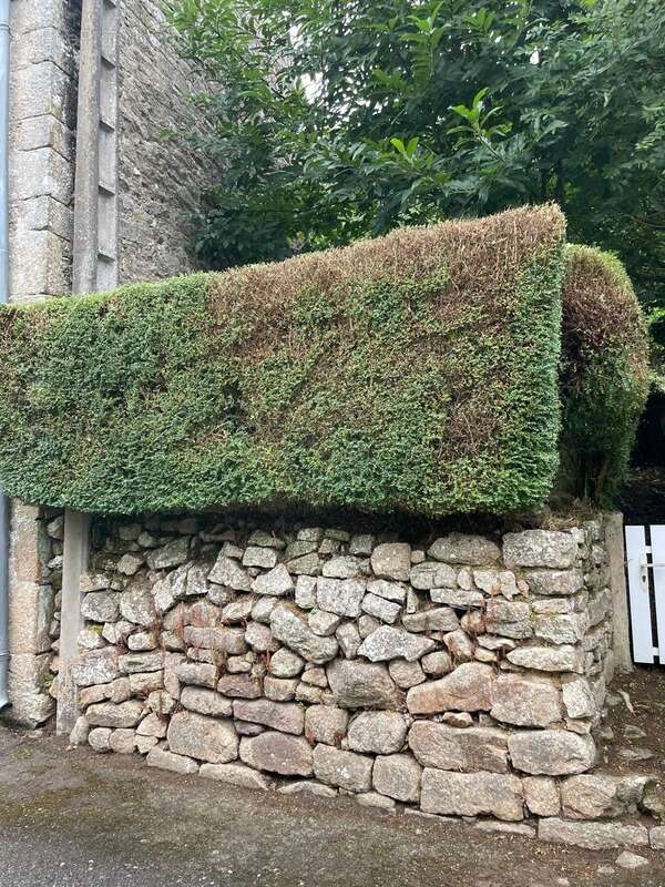 Maison à GUEMENE-SUR-SCORFF