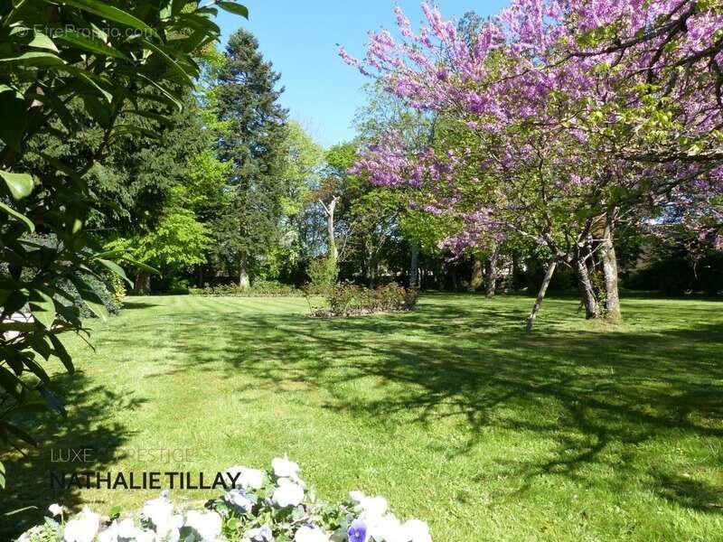 Maison à SAINT-JEAN-LE-BLANC