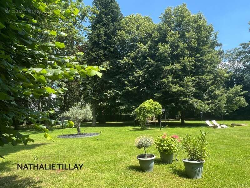 Maison à SAINT-JEAN-LE-BLANC