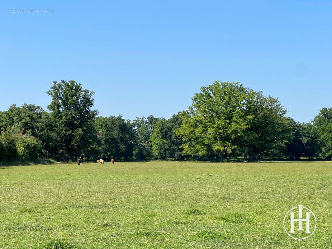 Maison à CHARENTON-DU-CHER