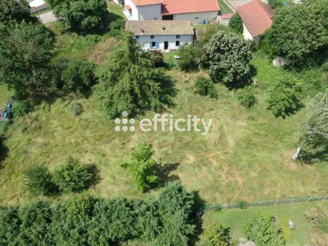 Maison à SAINT-ROMAIN-LE-PUY
