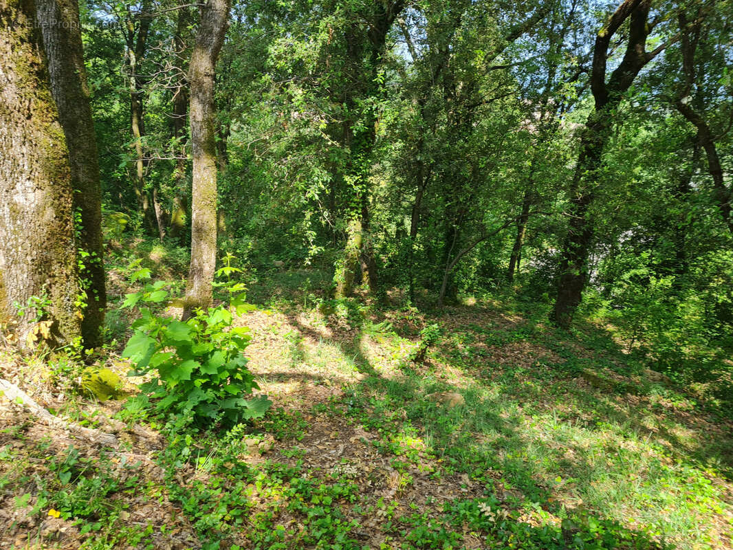 Terrain à SAINT-JEAN-DU-GARD