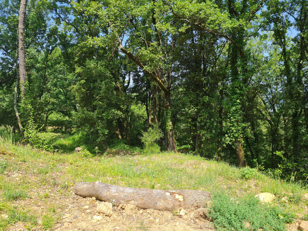 Terrain à SAINT-JEAN-DU-GARD