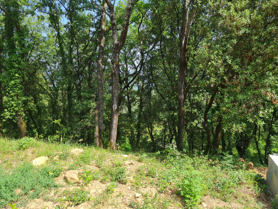 Terrain à SAINT-JEAN-DU-GARD