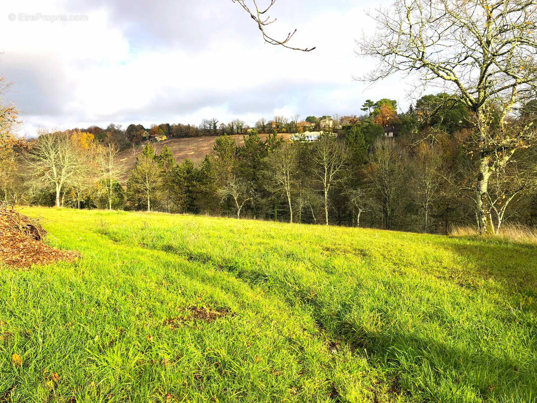 Terrain à COURSAC
