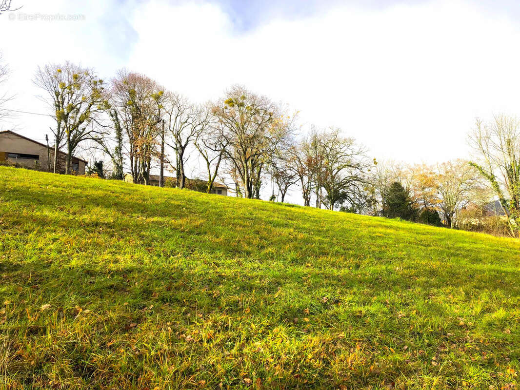 Terrain à COURSAC