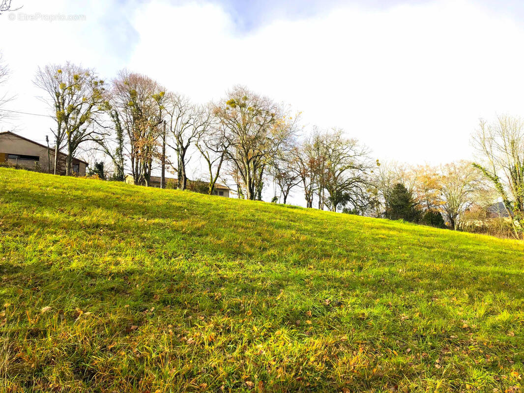 Terrain à COURSAC