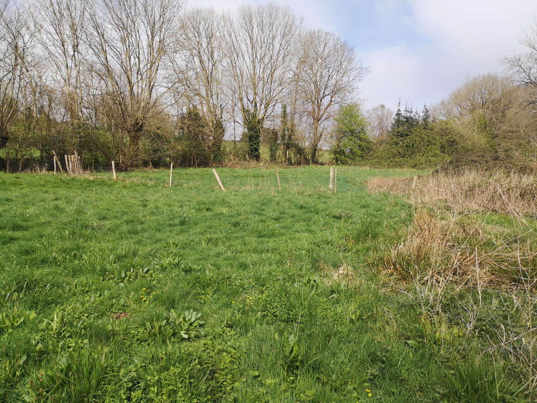 Terrain à MENOMBLET