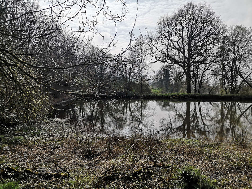 Terrain à MENOMBLET